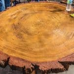Log Round Table Top Mold – 4'